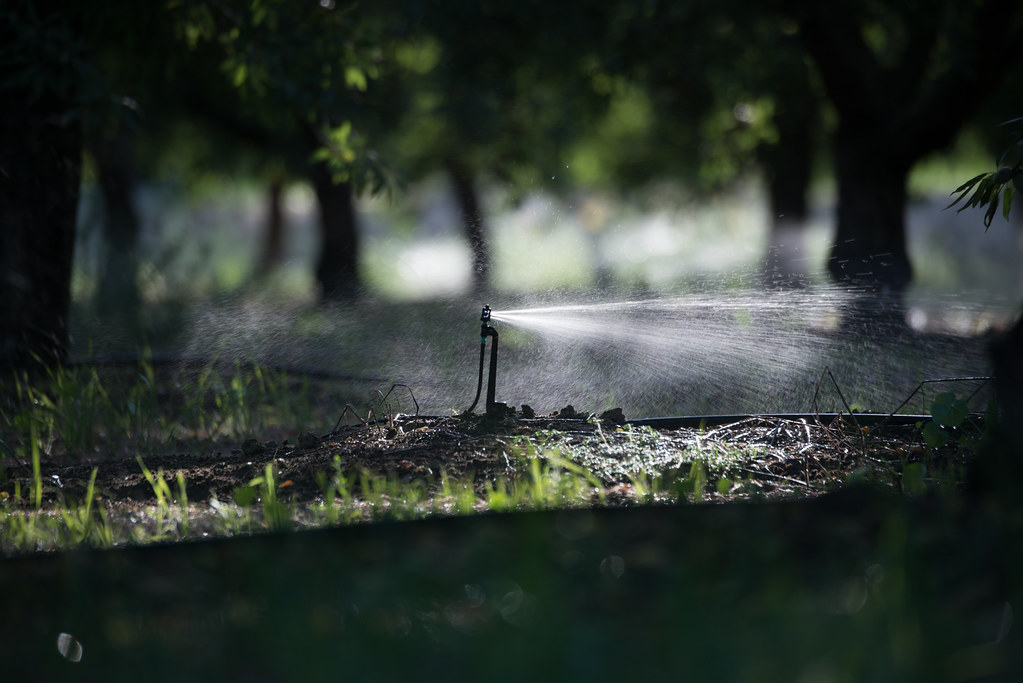 Technician repairing an irrigation valve